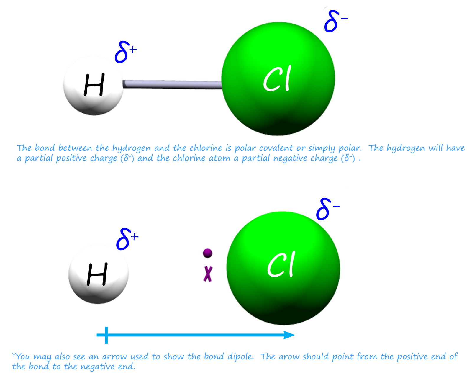 3d model showing polar covalent bonding in a molecule of hydrogen chloride (HCl)